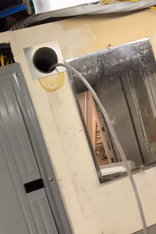 Dryerly